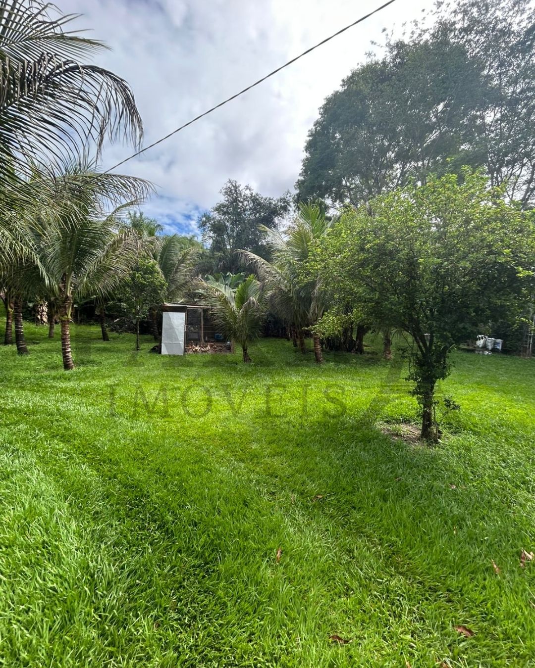 IMÓVEL À VENDA – CHÁCARA SANTA FAMÍLIA - 4