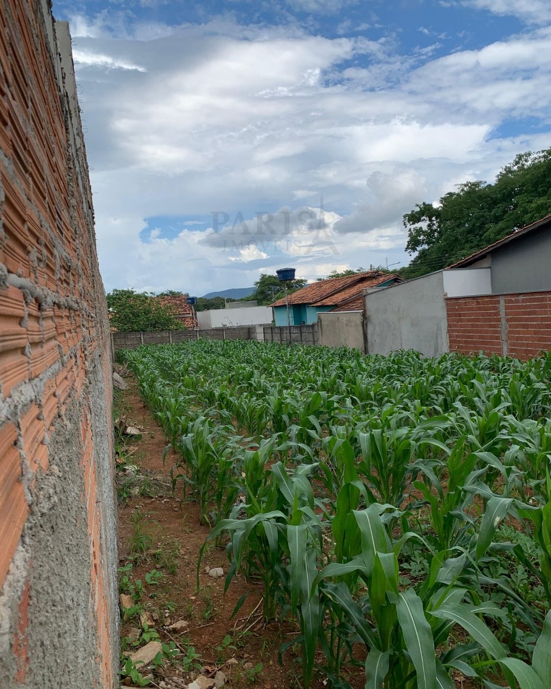 IMÓVEL À VENDA – NEGRINHO CARRILHO - 3