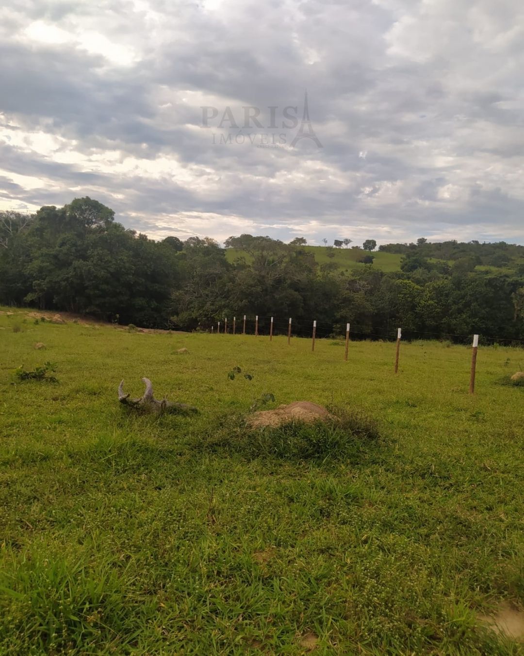 IMÓVEL RURAL À VENDA - 2