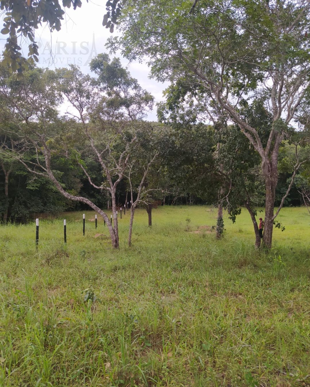 IMÓVEL RURAL À VENDA - 3